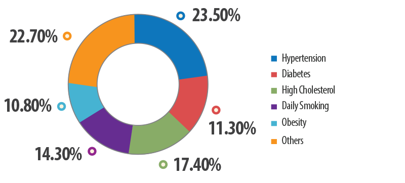 Singapore's Disease Burden (amongst adults aged 18-69)