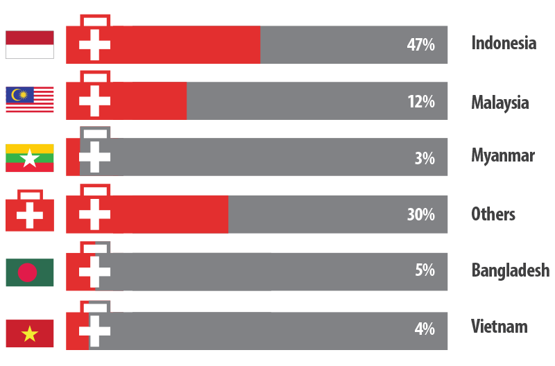 Breakdown of 2012 Medical Tourists by country