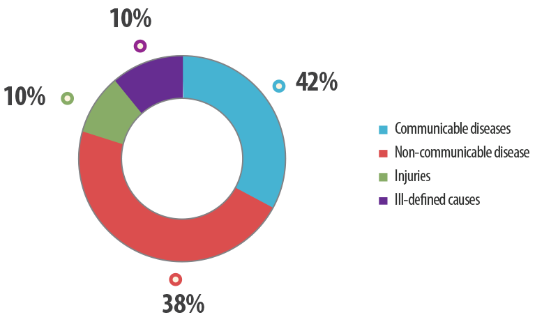 Causes of Death in India (2012)